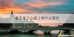 春天来了山坡上有什么变化