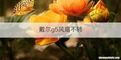 戴尔g5风扇不转