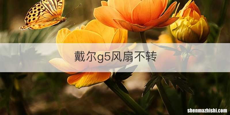 戴尔g5风扇不转