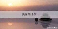 美丽的什么