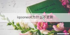 iqooneo6为什么不更新