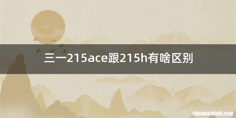 三一215ace跟215h有啥区别