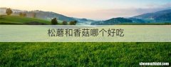 松蘑和香菇哪个好吃