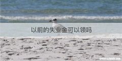 以前的失业金可以领吗