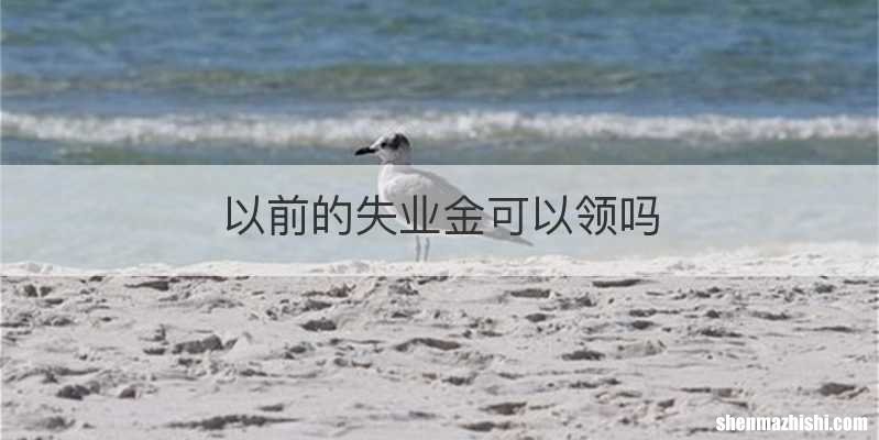 以前的失业金可以领吗