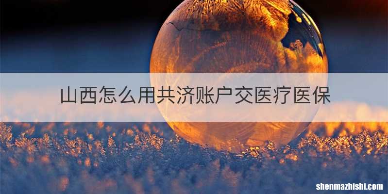 山西怎么用共济账户交医疗医保
