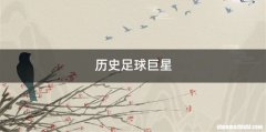 历史足球巨星
