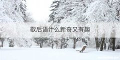 歇后语什么新奇又有趣