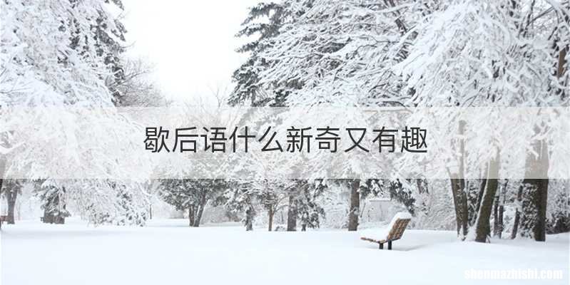 歇后语什么新奇又有趣