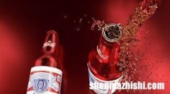 切尔西家族名字