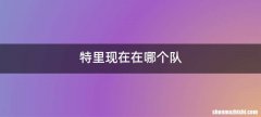 特里现在在哪个队
