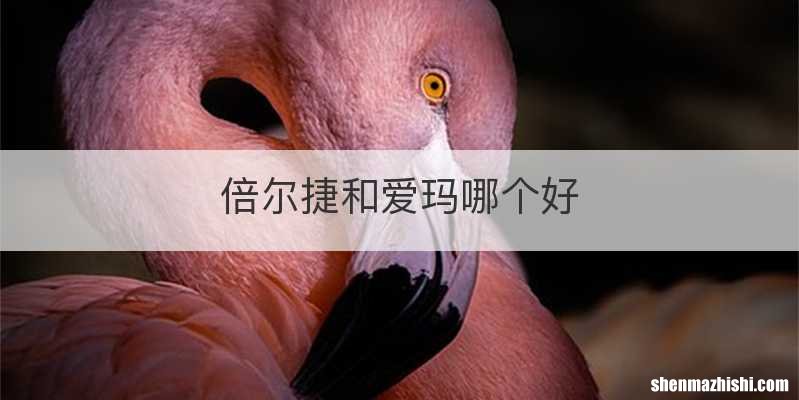 倍尔捷和爱玛哪个好