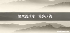 恒大的球球一箱多少钱