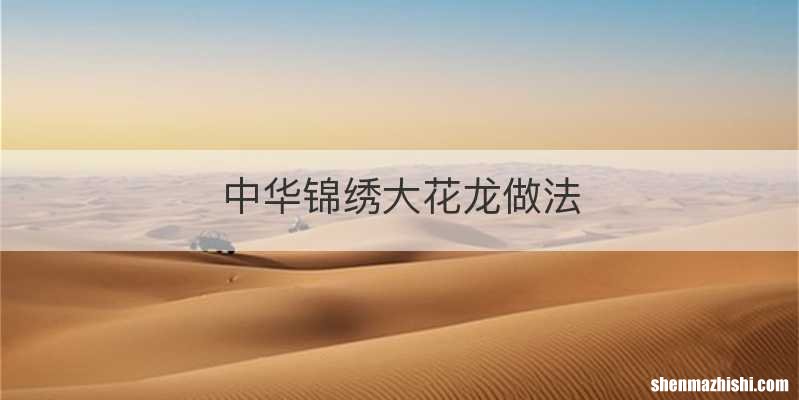 中华锦绣大花龙做法
