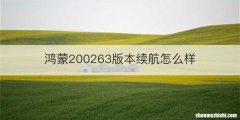 鸿蒙200263版本续航怎么样
