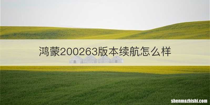 鸿蒙200263版本续航怎么样
