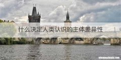 什么决定人类认识的主体差异性