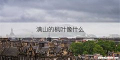 满山的枫叶像什么