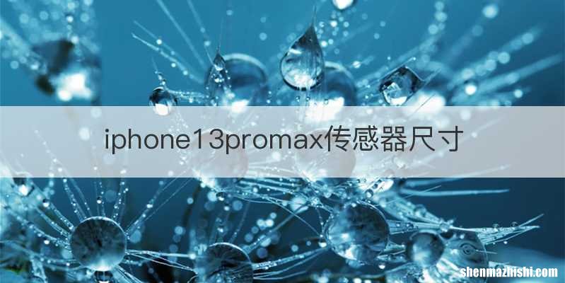 iphone13promax传感器尺寸