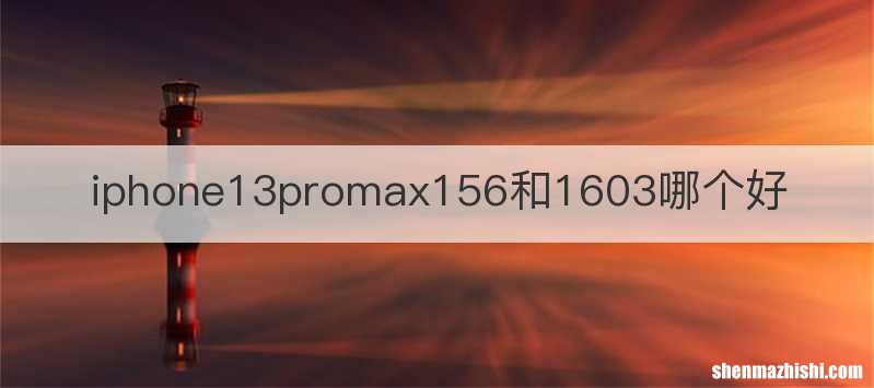 iphone13promax156和1603哪个好