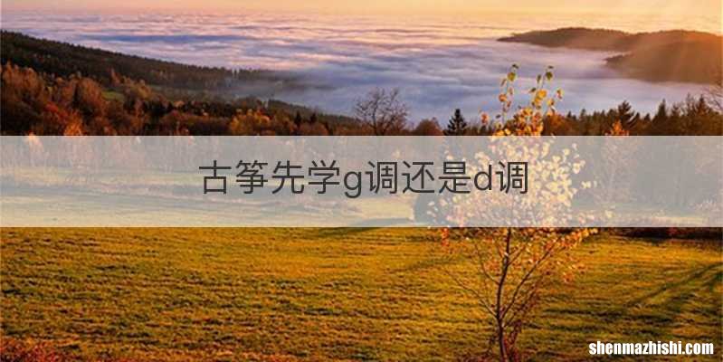 古筝先学g调还是d调