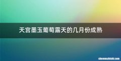 天宫墨玉葡萄露天的几月份成熟
