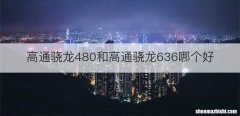 高通骁龙480和高通骁龙636哪个好