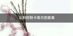 比利时到卡塔尔的距离