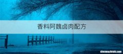 香料阿魏卤肉配方