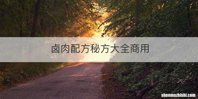 卤肉配方秘方大全商用
