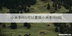 小米手环5可以置换小米手环6吗