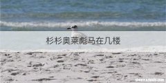 杉杉奥莱彪马在几楼