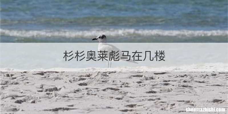 杉杉奥莱彪马在几楼
