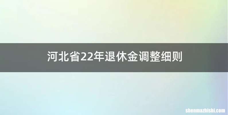 河北省22年退休金调整细则