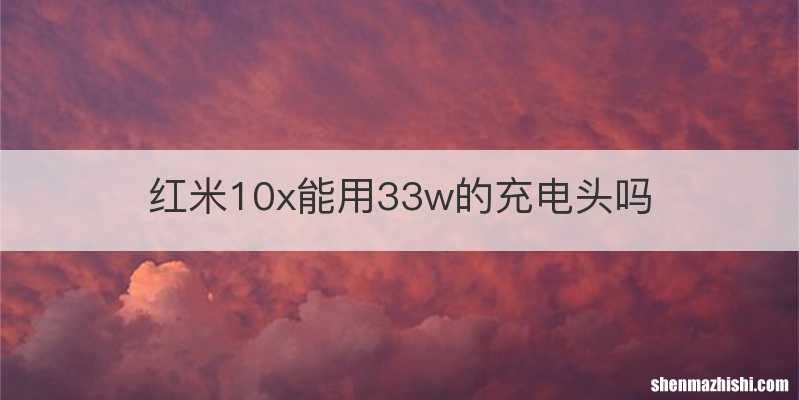 红米10x能用33w的充电头吗