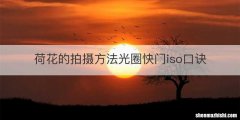 荷花的拍摄方法光圈快门iso口诀