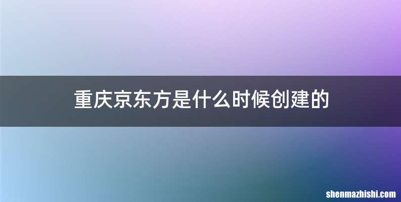 重庆京东方是什么时候创建的