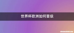 世界杯欧洲如何晋级