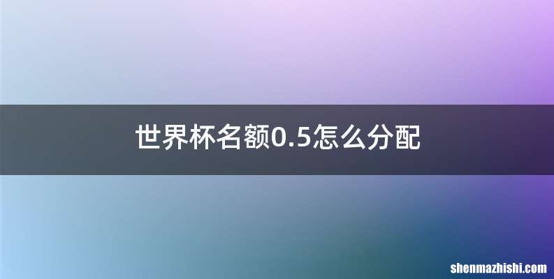 世界杯名额0.5怎么分配