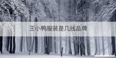 王小鸭服装是几线品牌