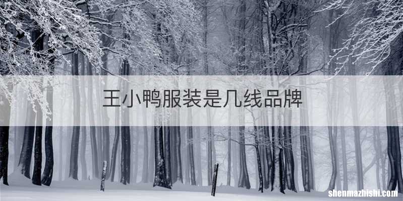 王小鸭服装是几线品牌