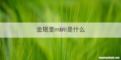 金珉奎mbti是什么