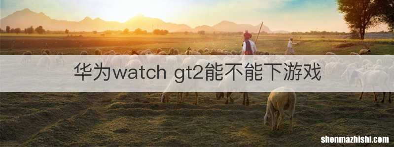 华为watch gt2能不能下游戏