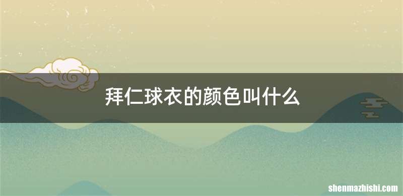 拜仁球衣的颜色叫什么