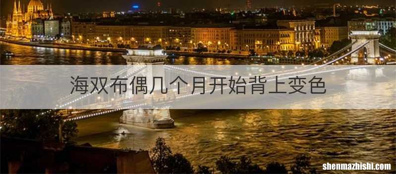 海双布偶几个月开始背上变色