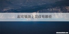 起司猫背上花纹有哪些