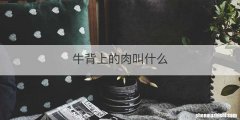 牛背上的肉叫什么