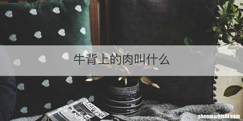 牛背上的肉叫什么