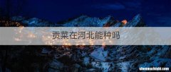 贡菜在河北能种吗