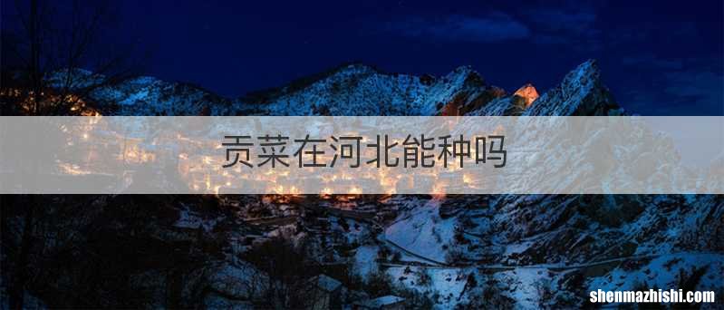 贡菜在河北能种吗